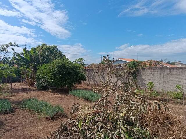 #922 - Terreno para Venda em São Pedro - SP