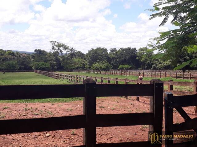 #923 - Haras para Venda em Santa Rita do Passa Quatro - SP