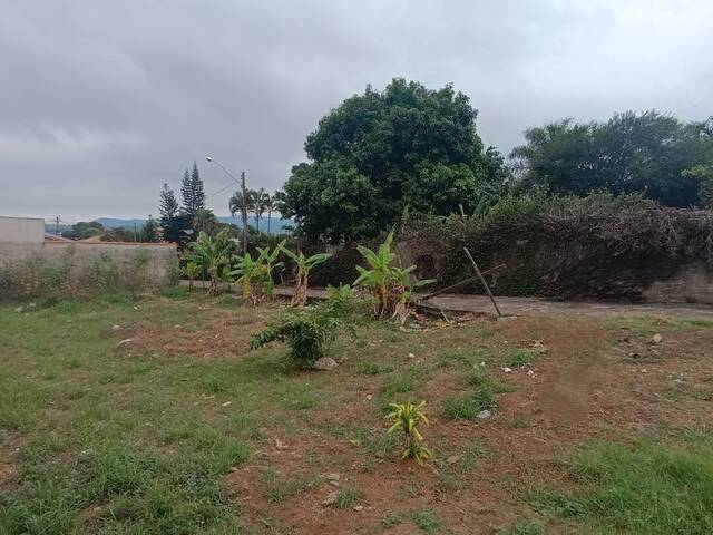 #924 - Terreno para Venda em São Pedro - SP