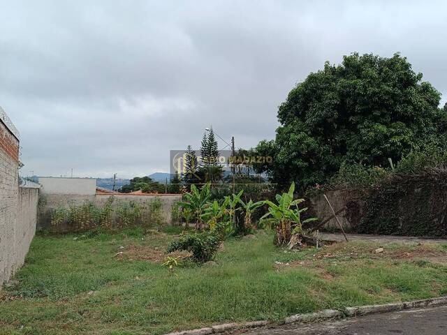 Terreno para Venda em São Pedro - 4