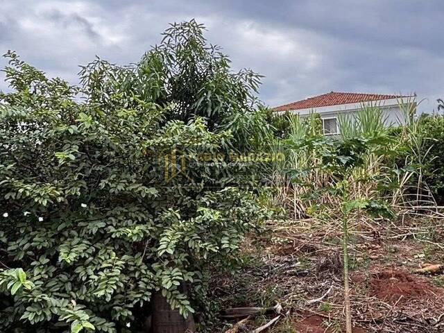 Área para Venda em São Pedro - 4