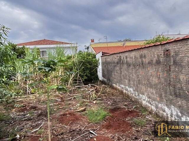 #927 - Área para Venda em São Pedro - SP