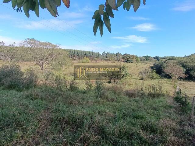 Sítio para Venda em São Pedro - 5