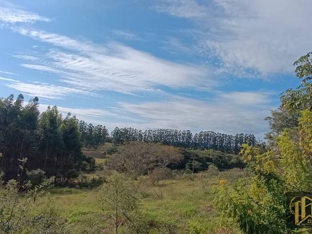 #932 - Sítio para Venda em São Pedro - SP - 3