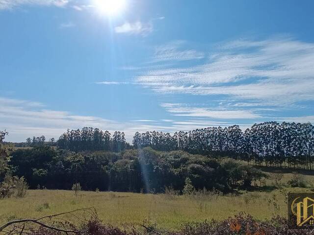 #932 - Sítio para Venda em São Pedro - SP - 1
