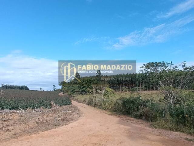 Sítio para Venda em São Pedro - 4
