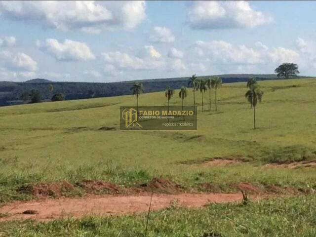 #935 - Fazenda para Venda em Bofete - SP - 3