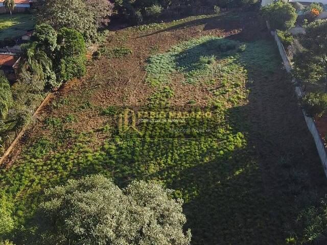 Área para Venda em São Pedro - 4