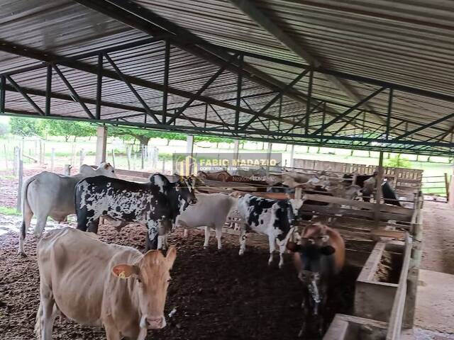 #937 - Fazenda para Venda em Bauru - SP - 3