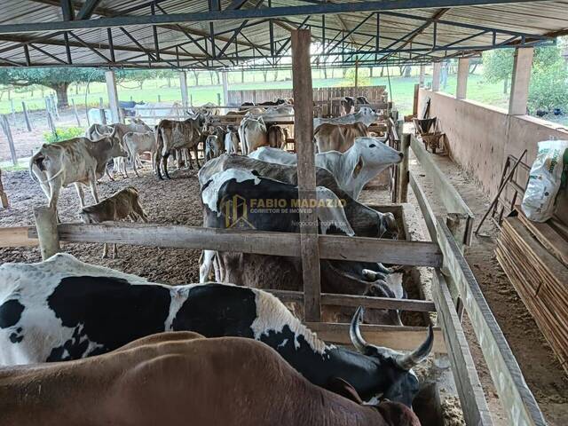 #937 - Fazenda para Venda em Bauru - SP - 2