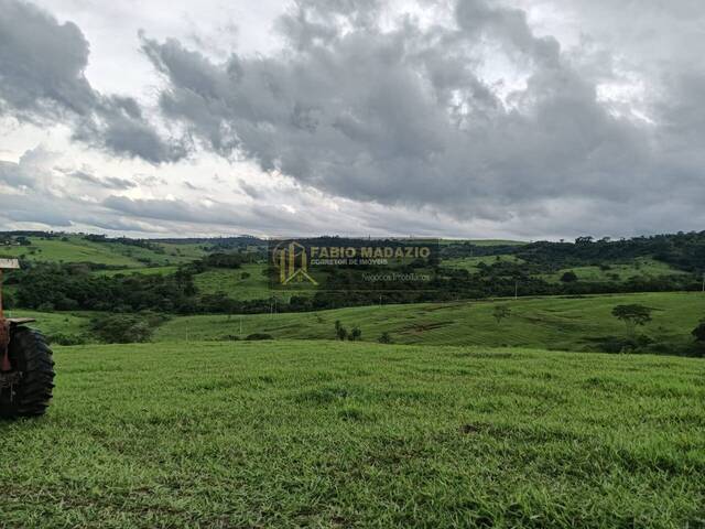 Fazenda para Venda em Bauru - 4