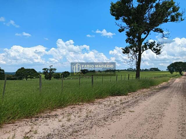 #937 - Fazenda para Venda em Bauru - SP - 1
