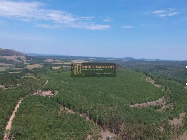 #942 - Fazenda para Venda em Itapetininga - SP - 1