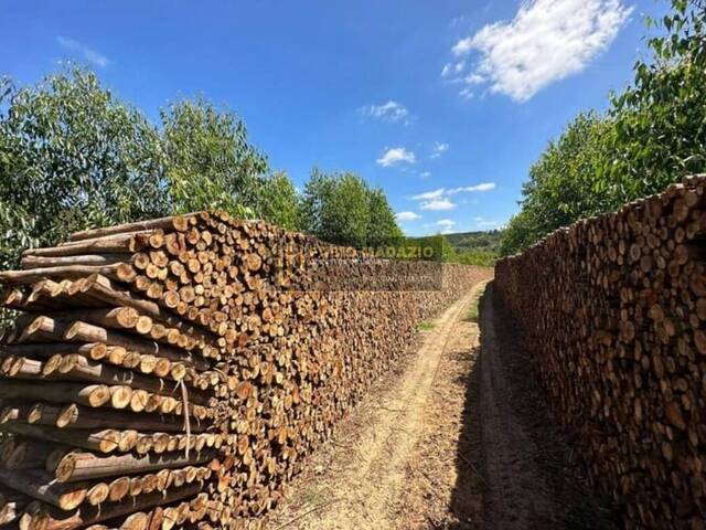 #942 - Fazenda para Venda em Itapetininga - SP - 2
