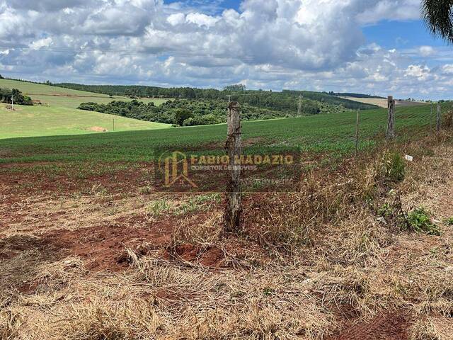 Sítio para Venda em Buri - 4