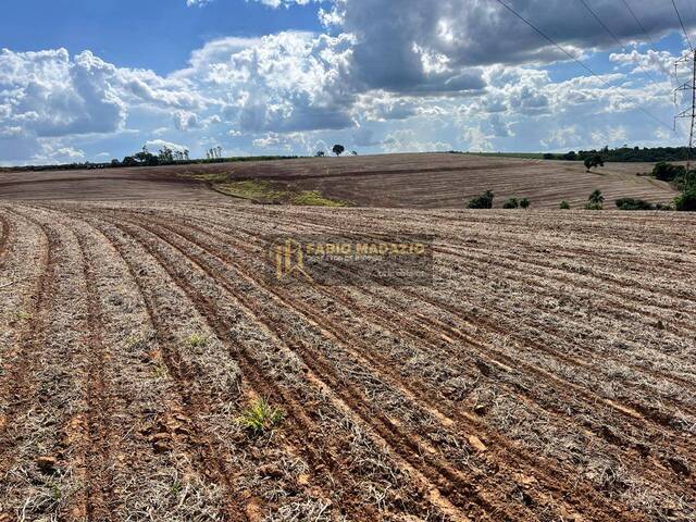 Sítio para Venda em Buri - 5