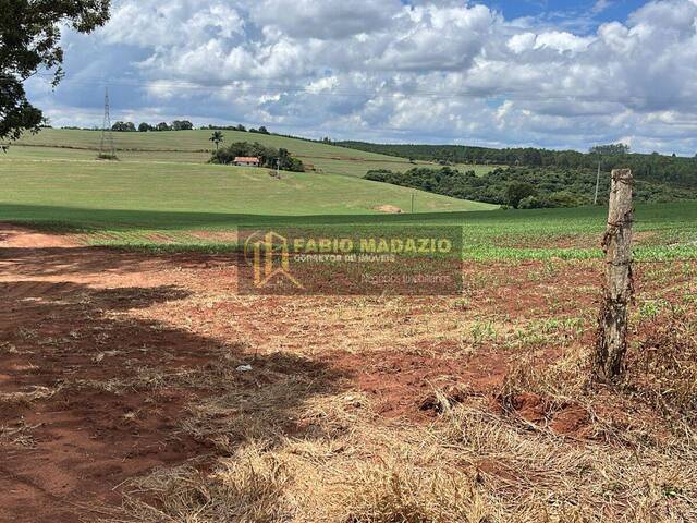 Venda em Área Rural - Buri
