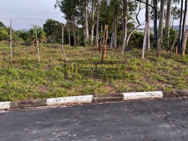 Terreno para Venda em São Pedro - 4