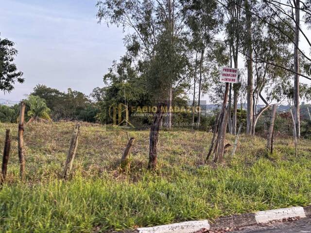 Terreno para Venda em São Pedro - 5