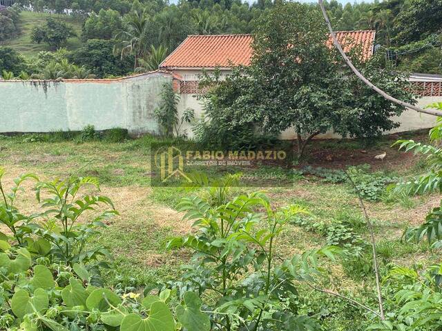 Terreno para Venda em São Pedro - 4