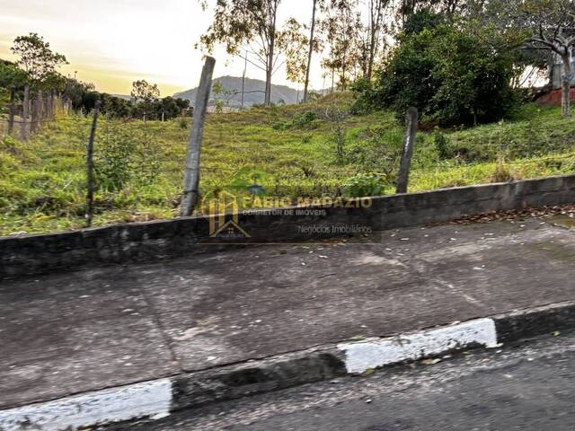 #955 - Terreno para Venda em São Pedro - SP - 3