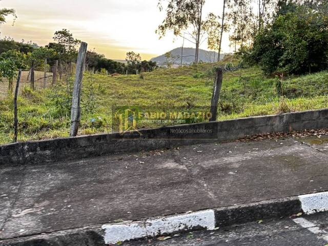 Terreno para Venda em São Pedro - 4