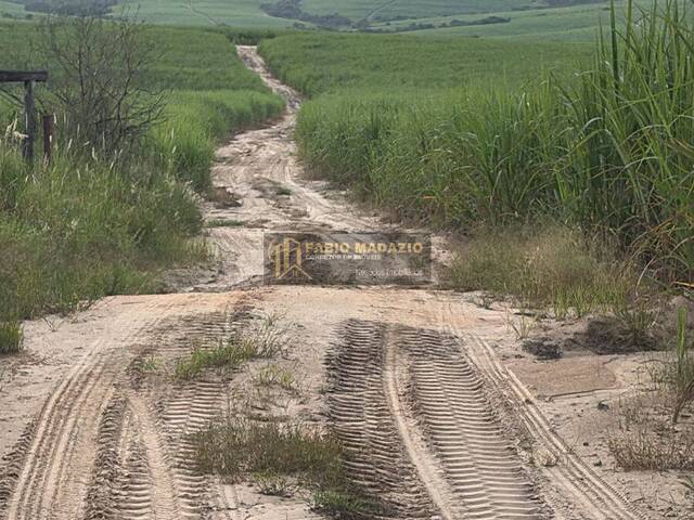 #960 - Fazenda para Venda em São Pedro - SP - 2