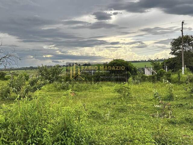#963 - Chácara para Venda em São Pedro - SP - 1