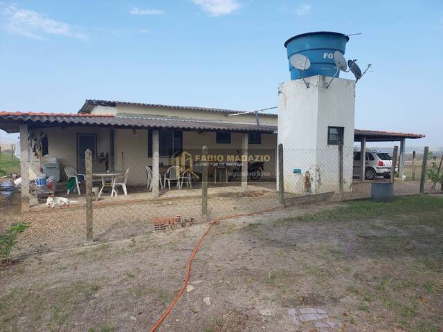 Sítio para Venda em São Pedro - 4
