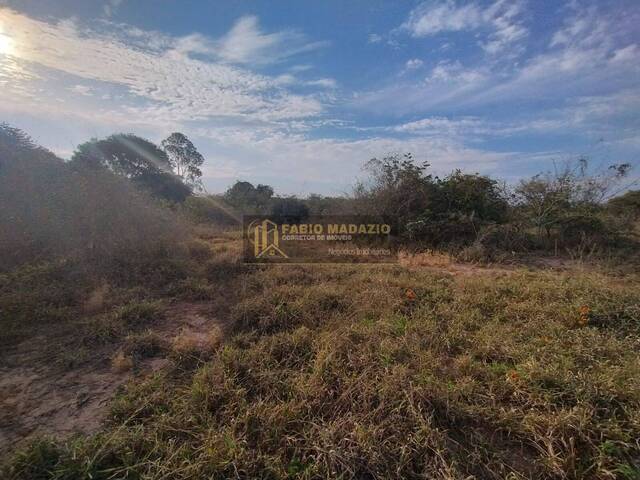 #971 - Chácara para Venda em São Pedro - SP - 1