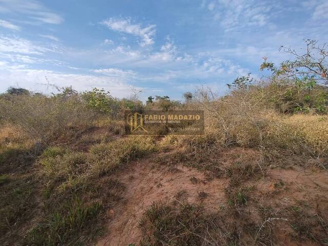 Chácara para Venda em São Pedro - 4