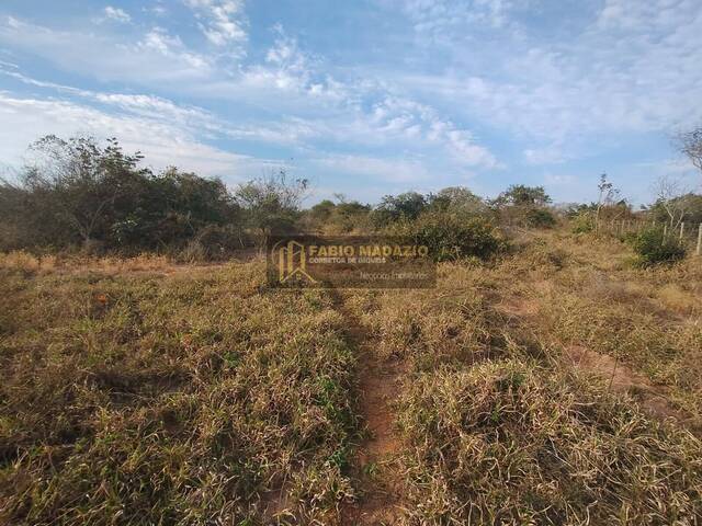 Chácara para Venda em São Pedro - 5