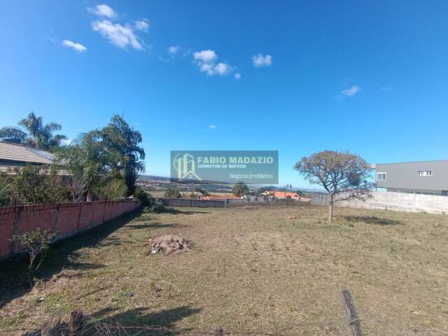 Terreno para Venda em São Pedro - 5