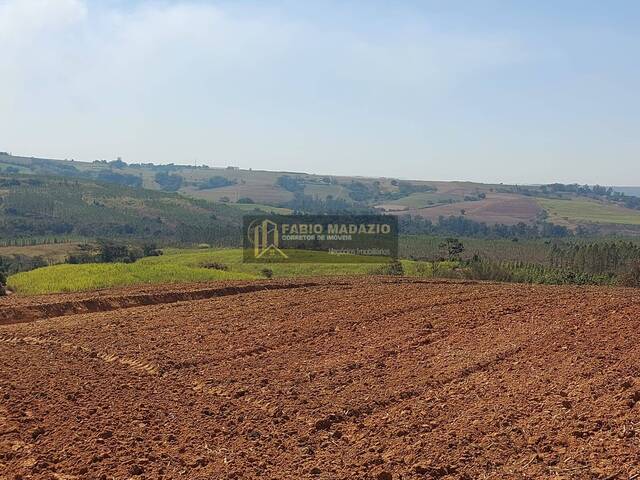 Sítio para Venda em Charqueada - 4