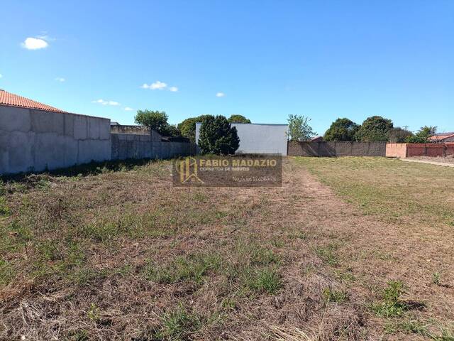 #975 - Terreno para Venda em São Pedro - SP - 3