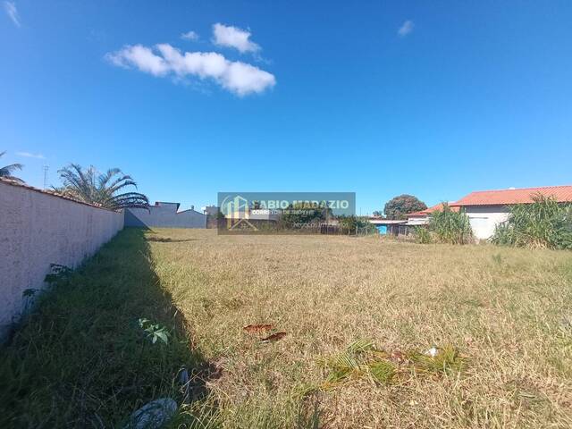 #973 - Terreno para Venda em São Pedro - SP - 2