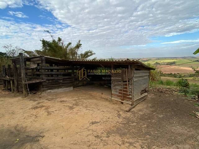 Sítio para Venda em Charqueada - 4