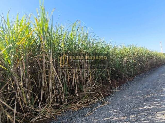 #991 - Sítio para Venda em Piracicaba - SP - 2