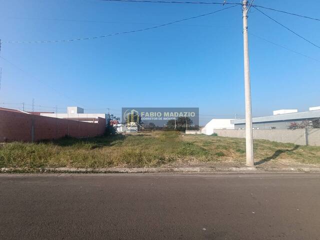 Terreno para Venda em São Pedro - 5