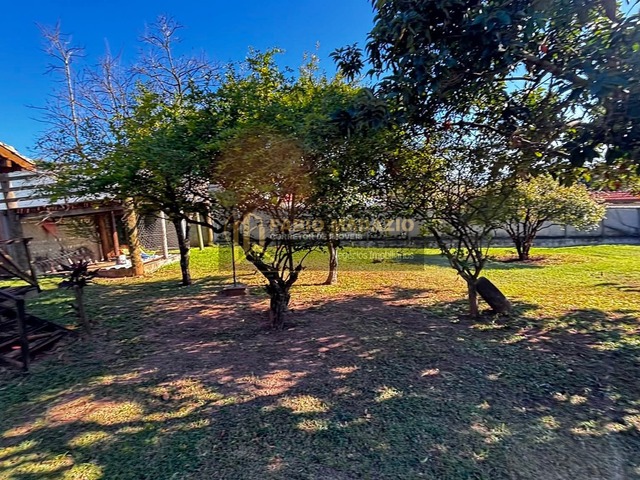 Chácara para Venda em São Pedro - 5