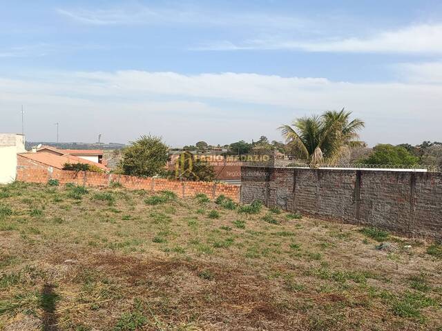 #1003 - Terreno para Venda em São Pedro - SP - 3