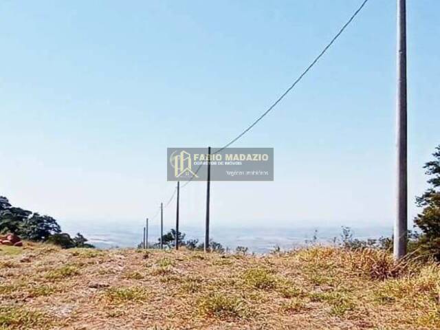 #1051 - Sítio para Venda em São Pedro - SP - 3