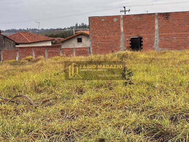 #1083 - Terreno para Venda em São Pedro - SP - 3