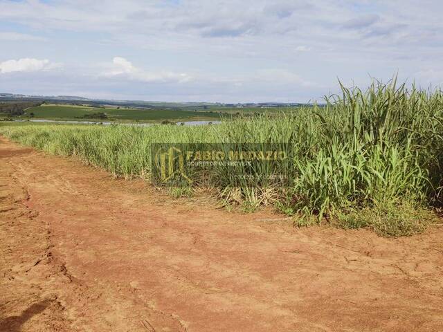 Fazenda para Venda em Itaí - 4