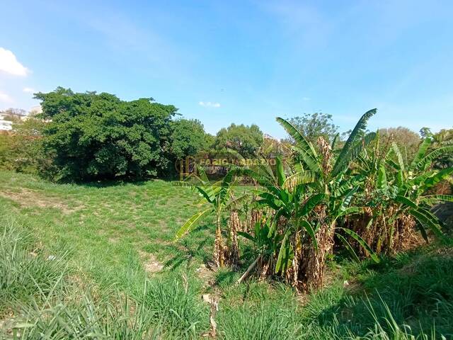 #1090 - Terreno para Venda em São Pedro - SP - 3