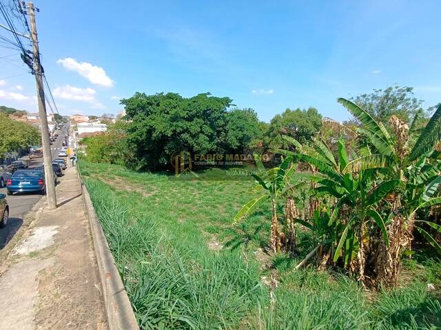 Terreno para Venda em São Pedro - 4
