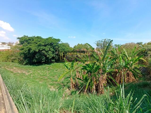 Terreno para Venda em São Pedro - 5