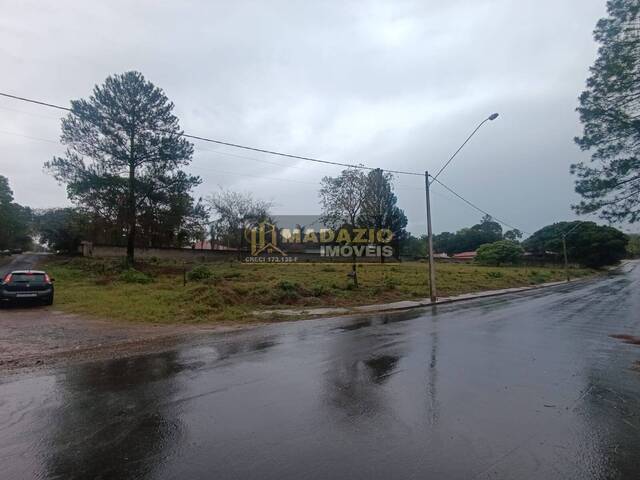 #1101 - Chácara para Venda em São Pedro - SP - 2