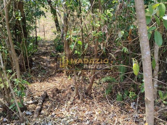 #1102 - Chácara para Venda em São Pedro - SP - 2