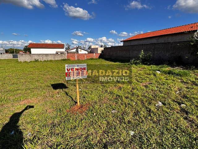 #1113 - Terreno para Venda em São Pedro - SP - 3